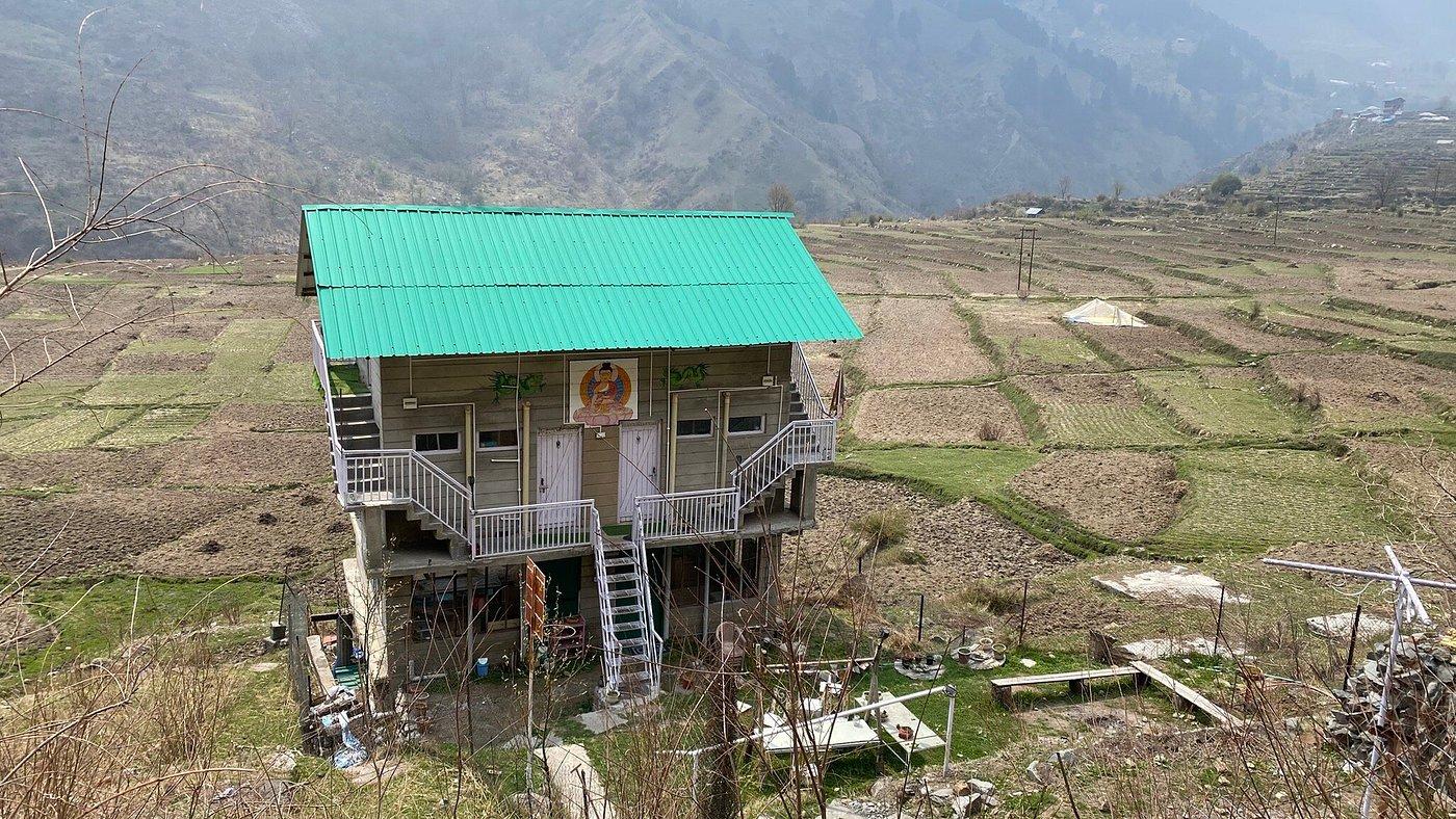 Dhauladhar Woodhouse x Solis Nature