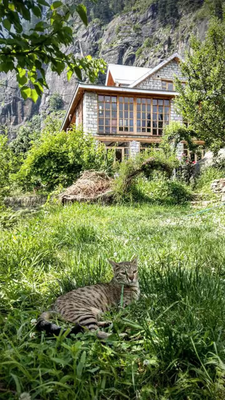 Himalaya retreat vashisht x Solis Nature