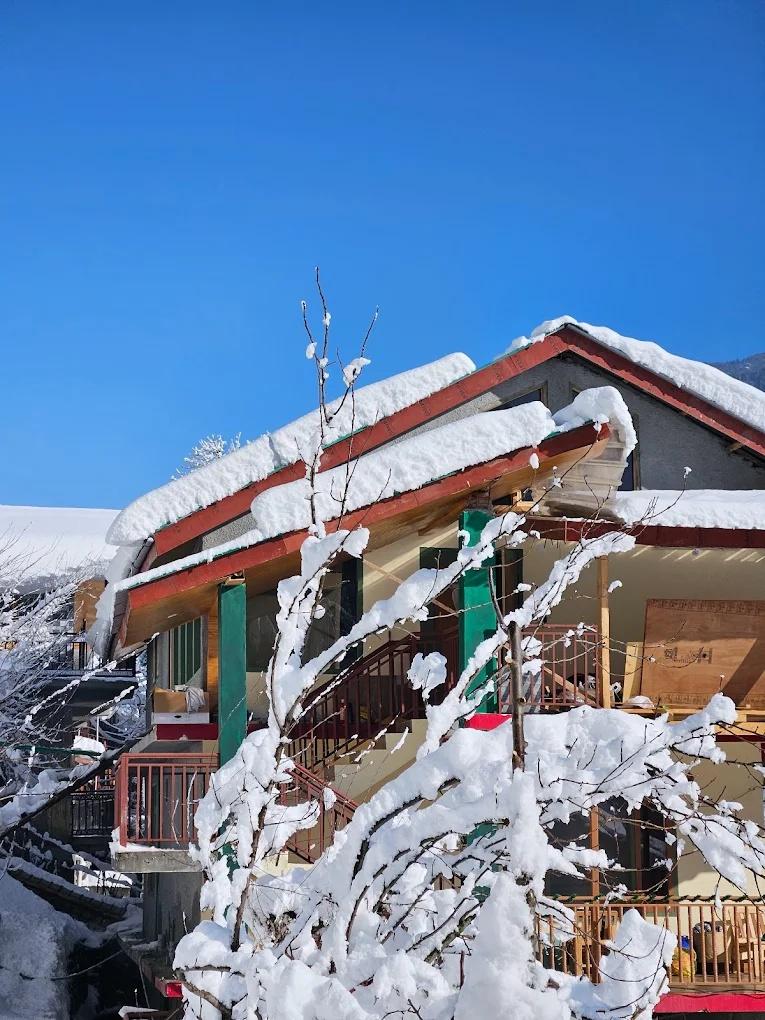 The Pineapple Home x Solis Nature