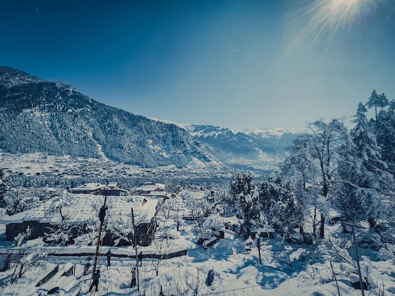 The Pineapple Home x Solis Nature