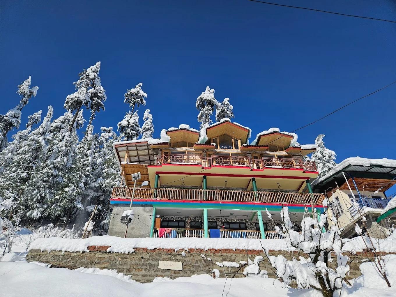 The Pineapple Home x Solis Nature