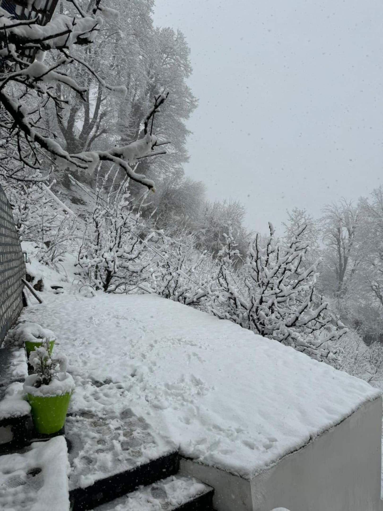 Infinity Sky Glamps x Solis Nature