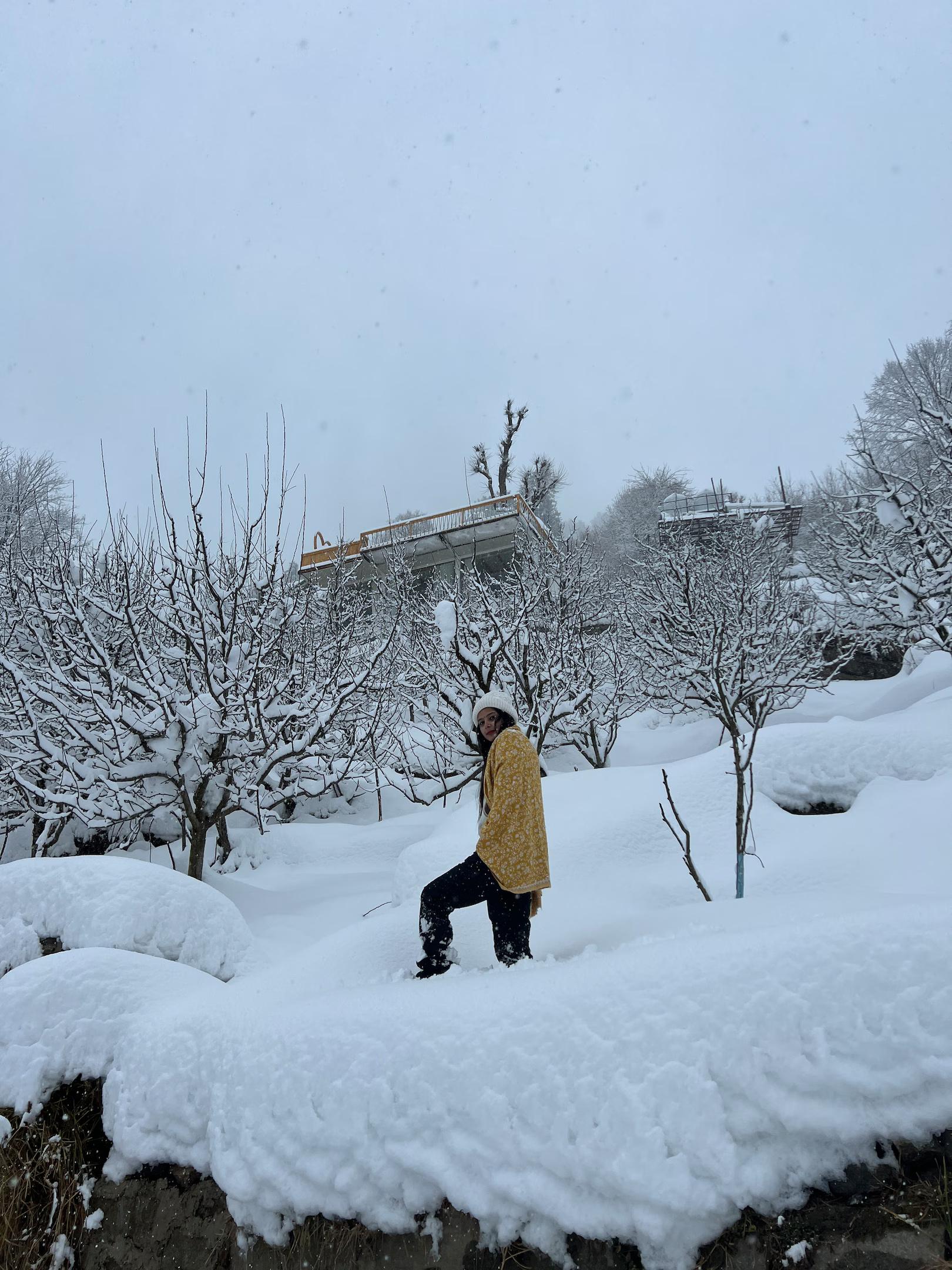 Infinity Sky Glamps x Solis Nature