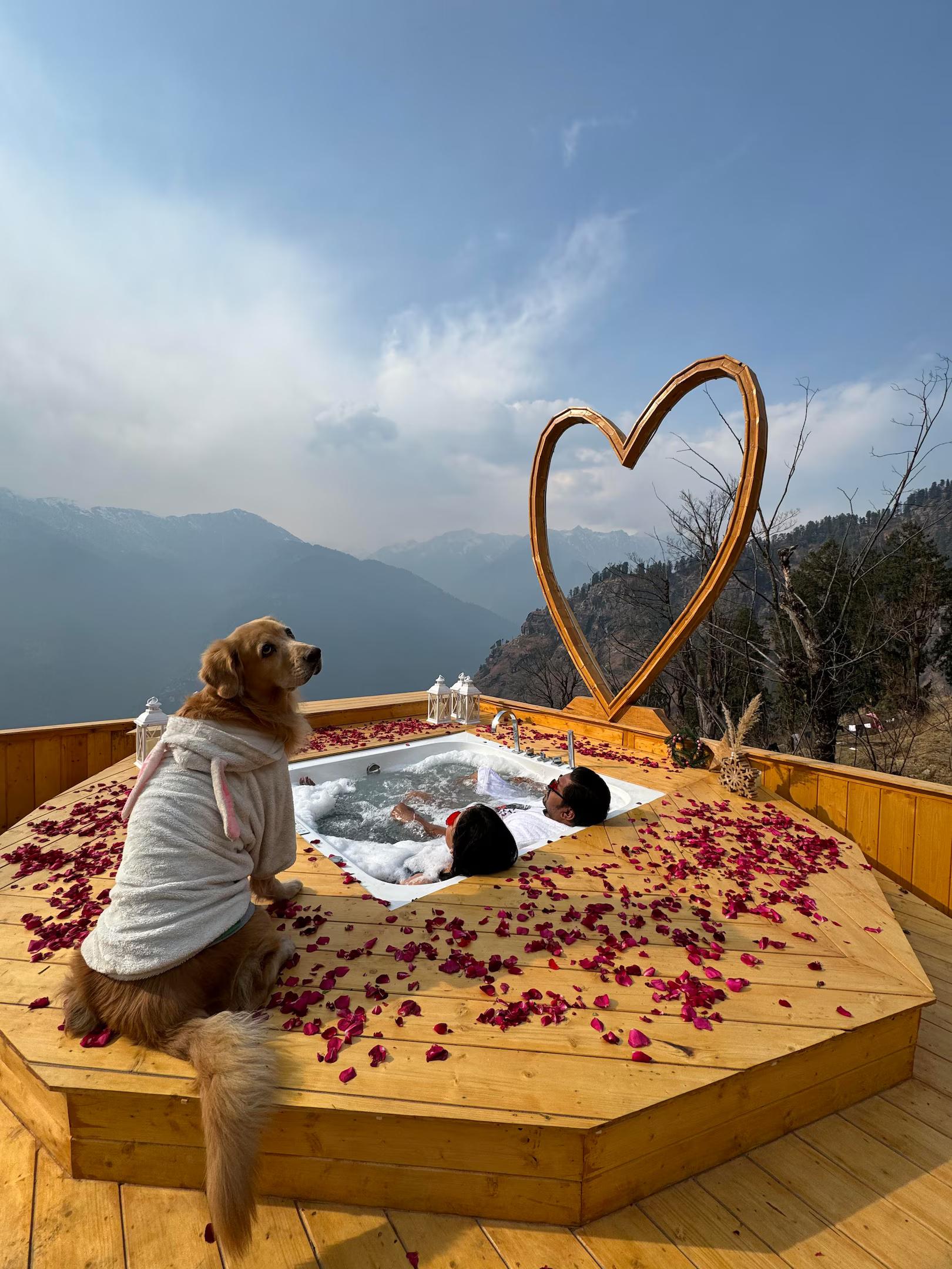 Infinity Sky Glamps x Solis Nature