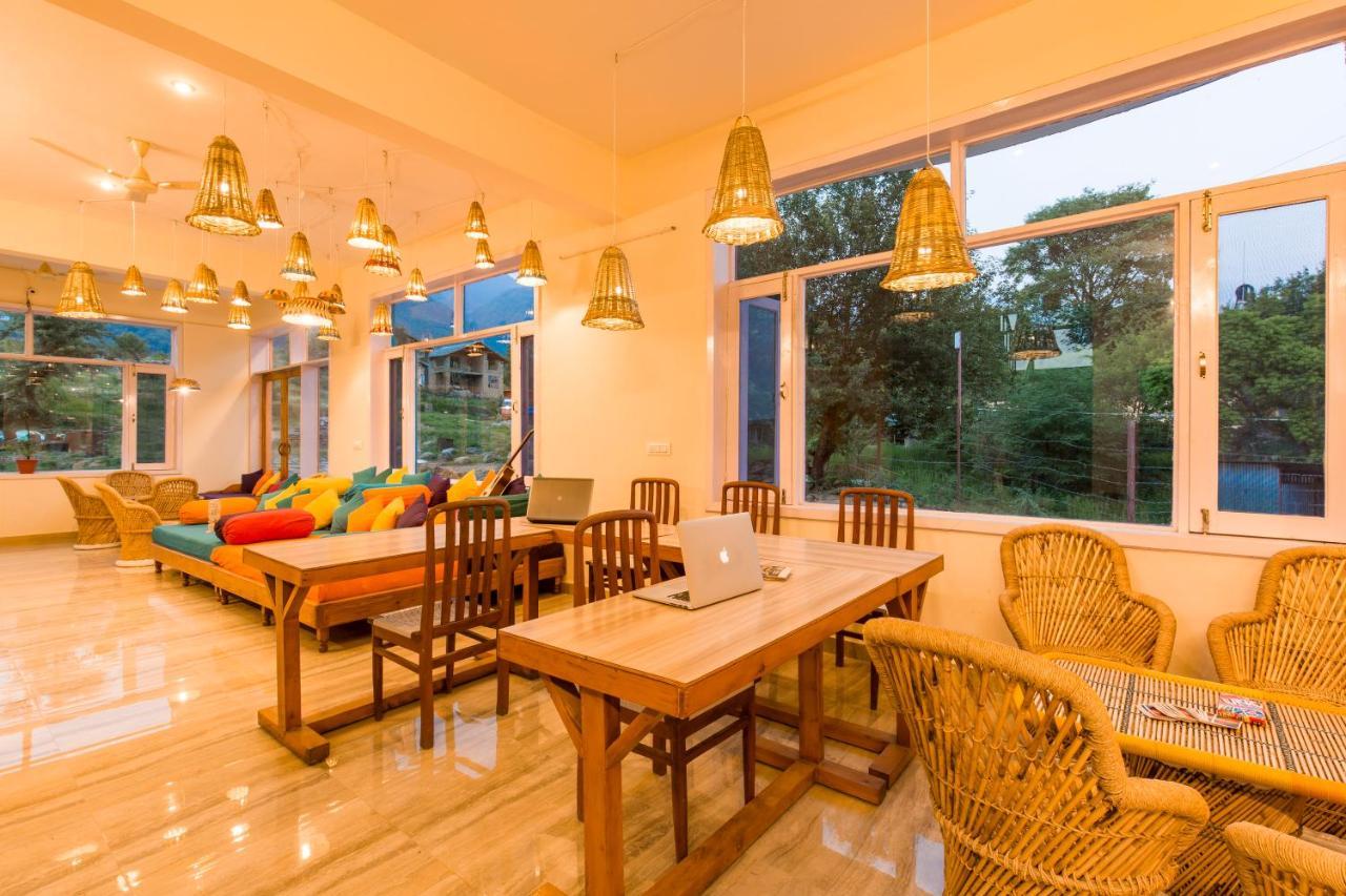 Dormigo Bir x Solis Nature