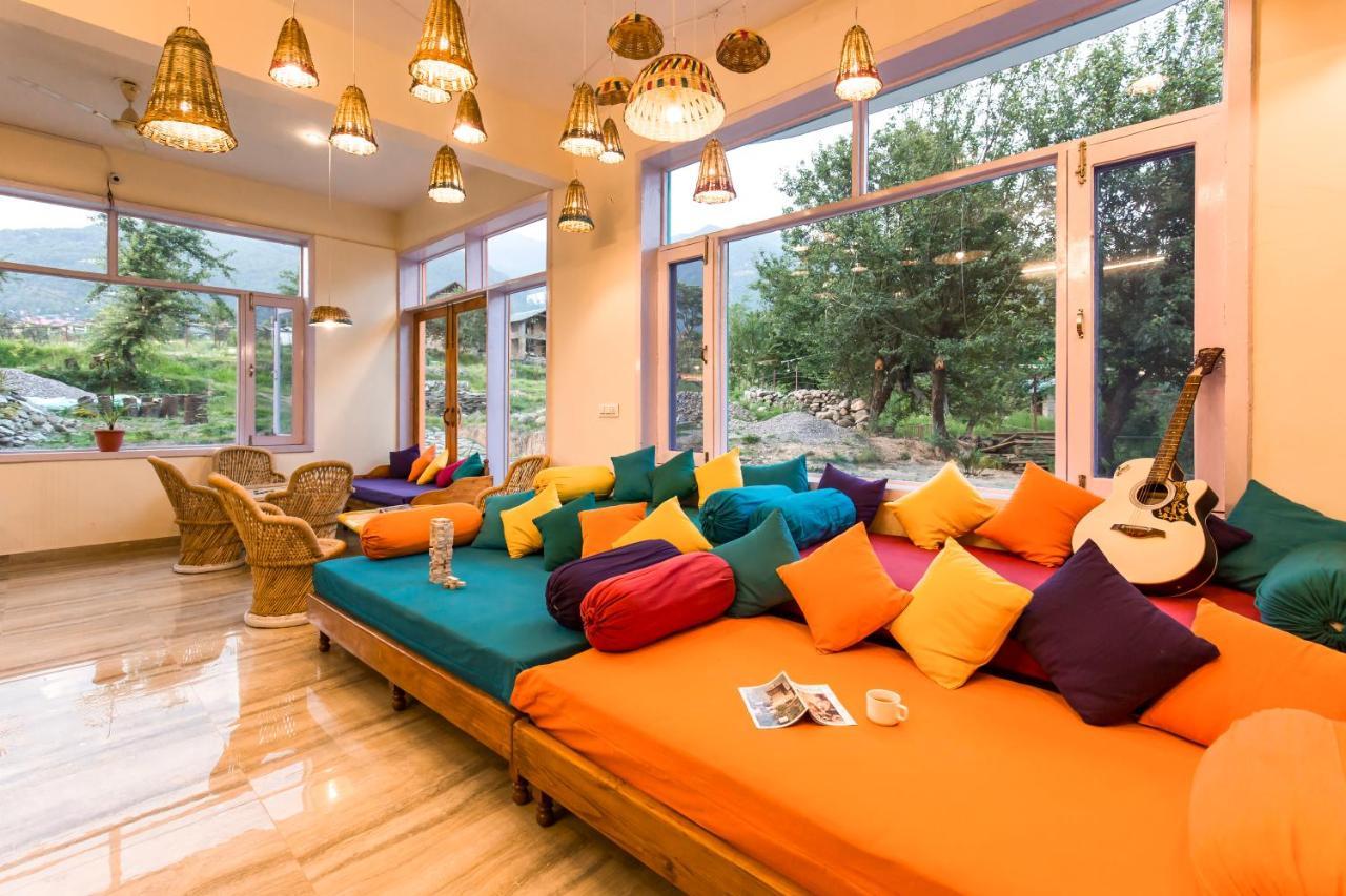 Dormigo Bir x Solis Nature