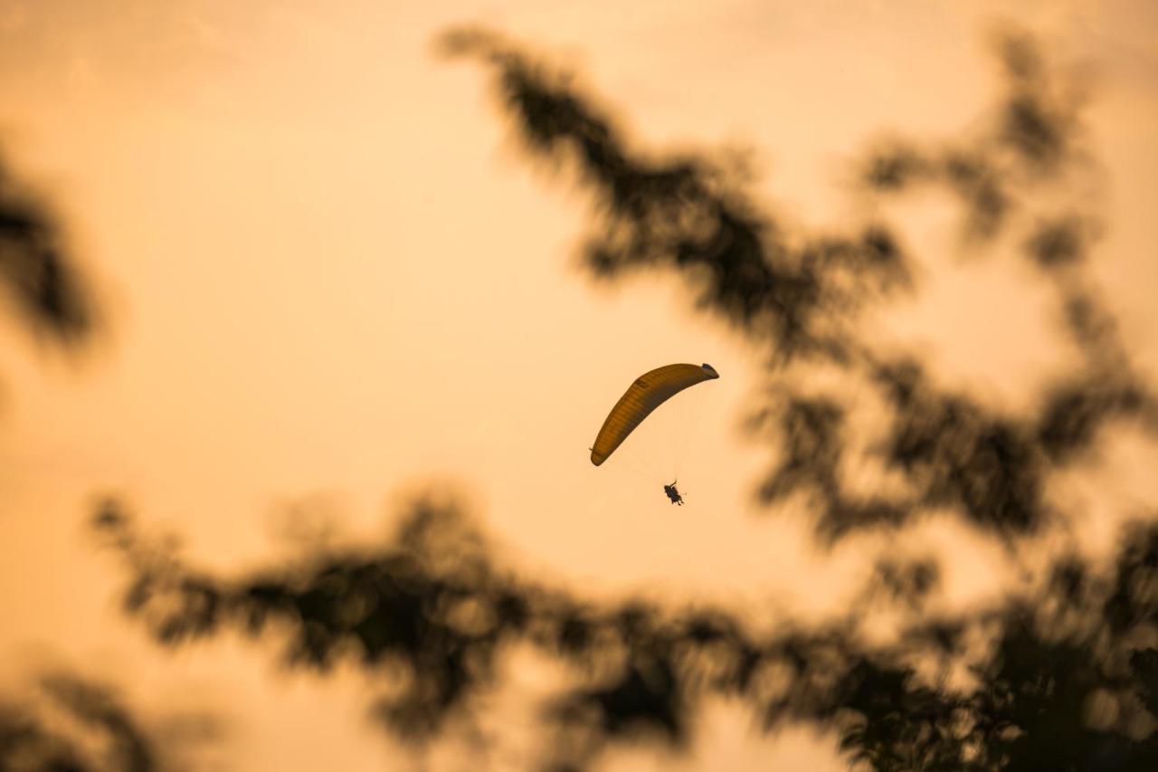 Dormigo Bir x Solis Nature