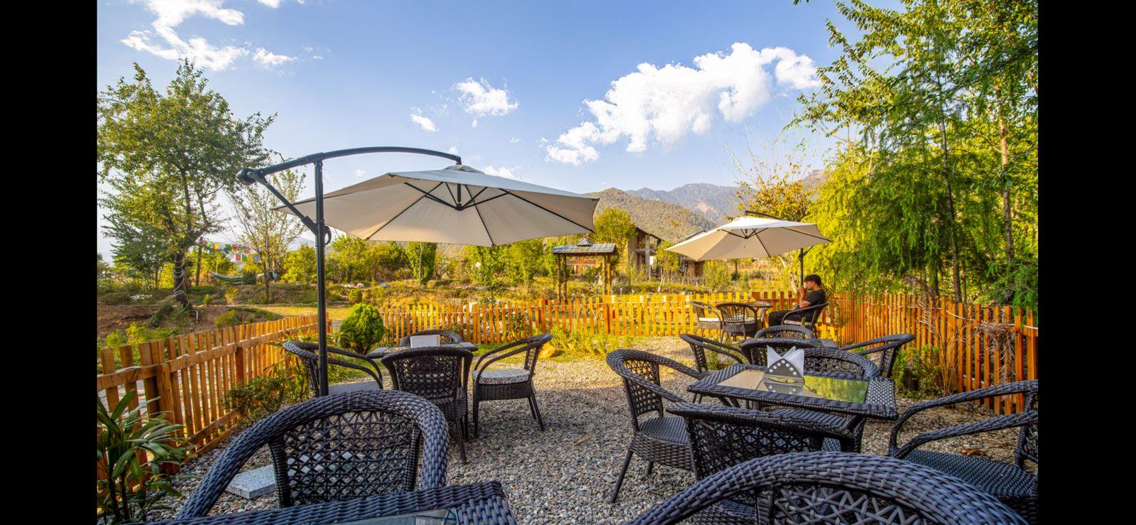 Dormigo Bir x Solis Nature