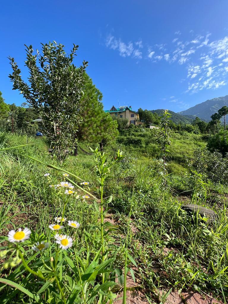 Musafir a Homestay x Solis Nature