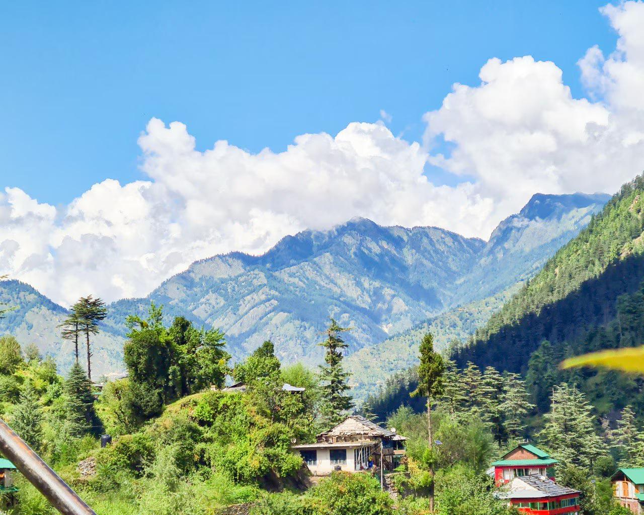 Peace Out by Moonstone Hammock x Solis Nature