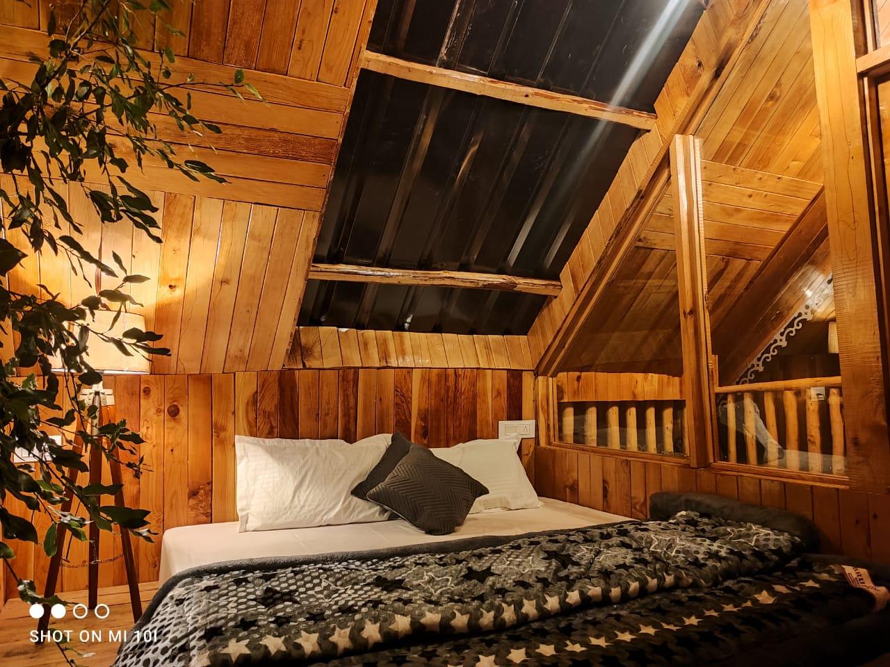 The Tree Top jibhi x Solis Nature