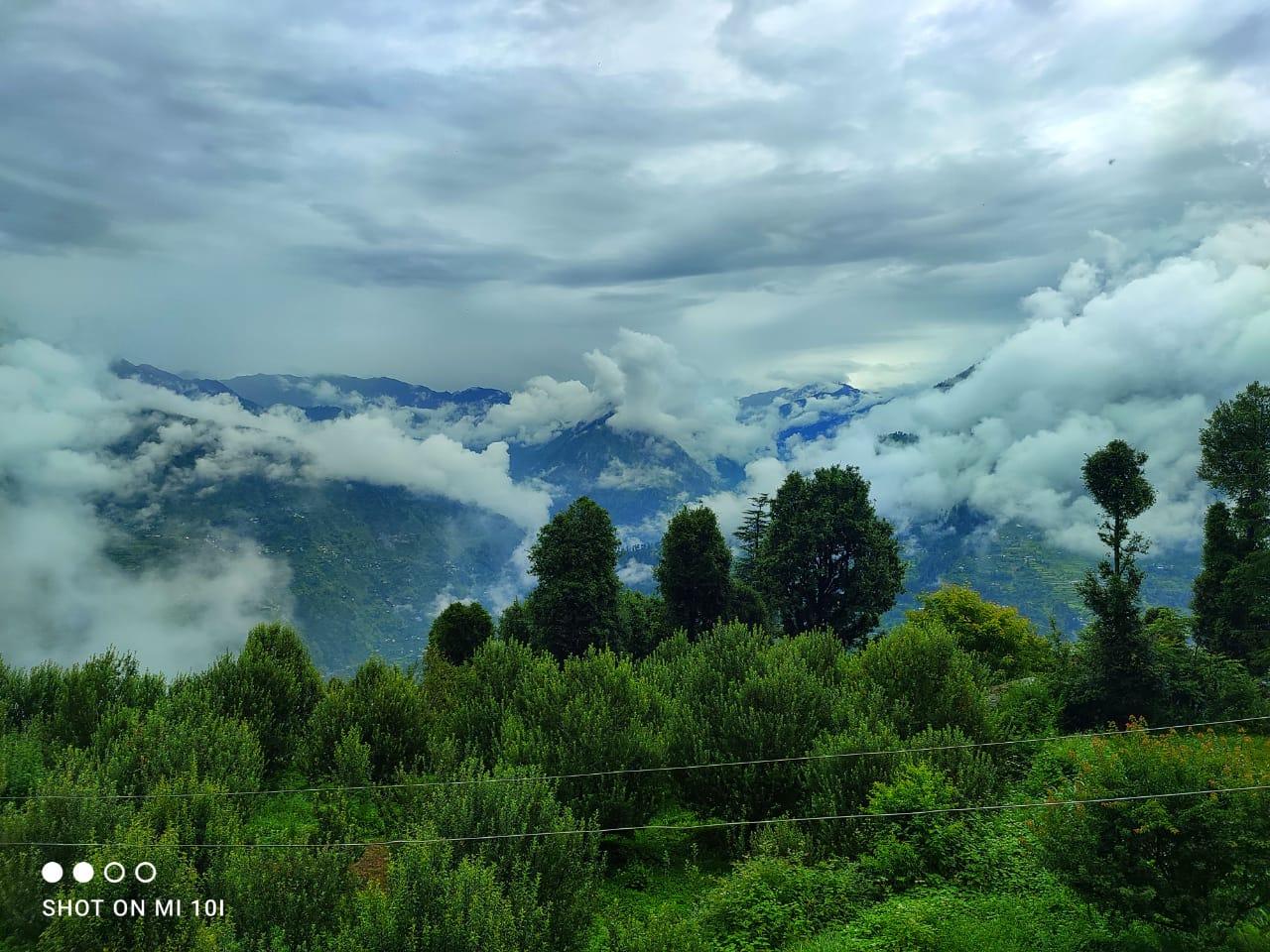 The Tree Top jibhi x Solis Nature