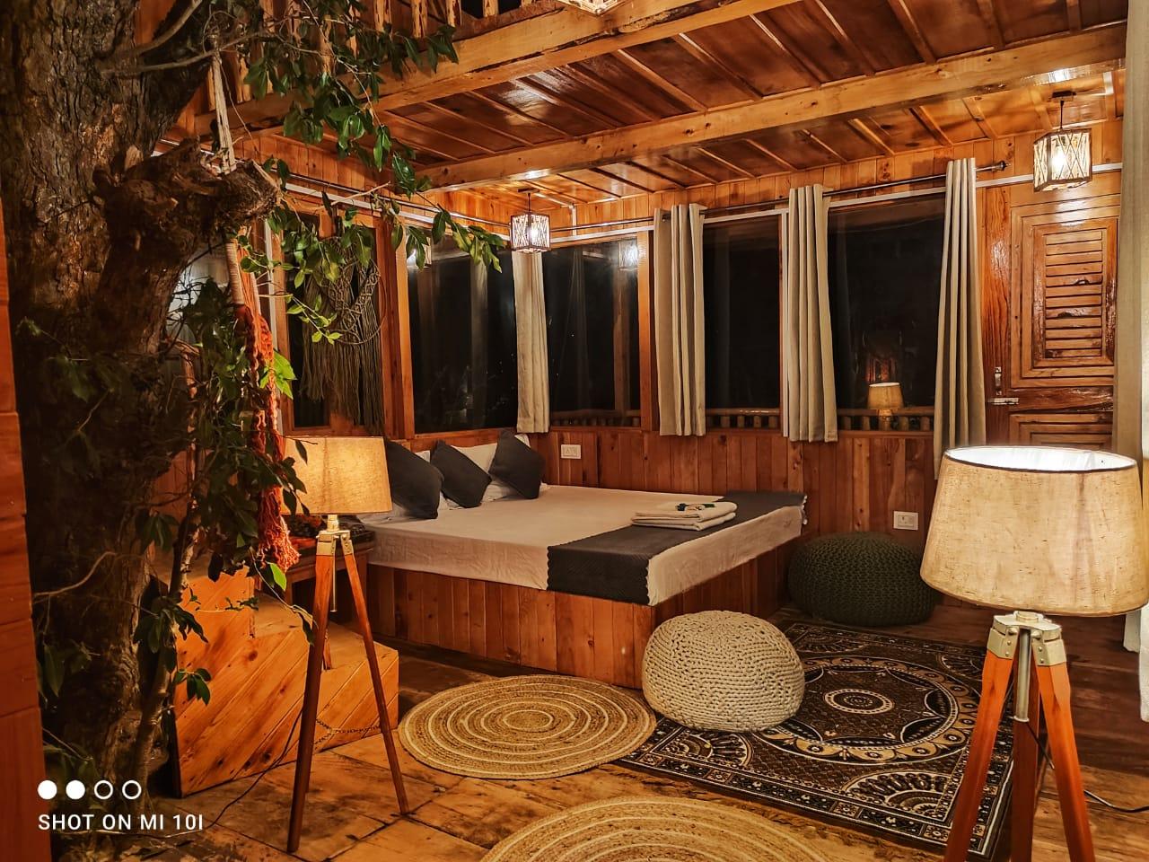 The Tree Top jibhi x Solis Nature