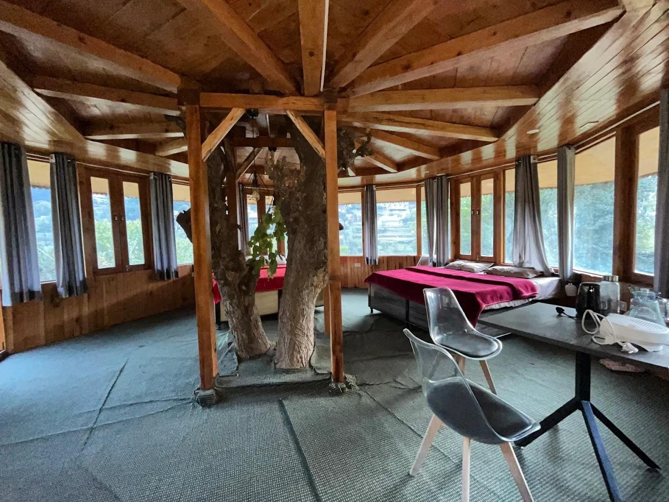 The hidden Burrow x Solis Nature