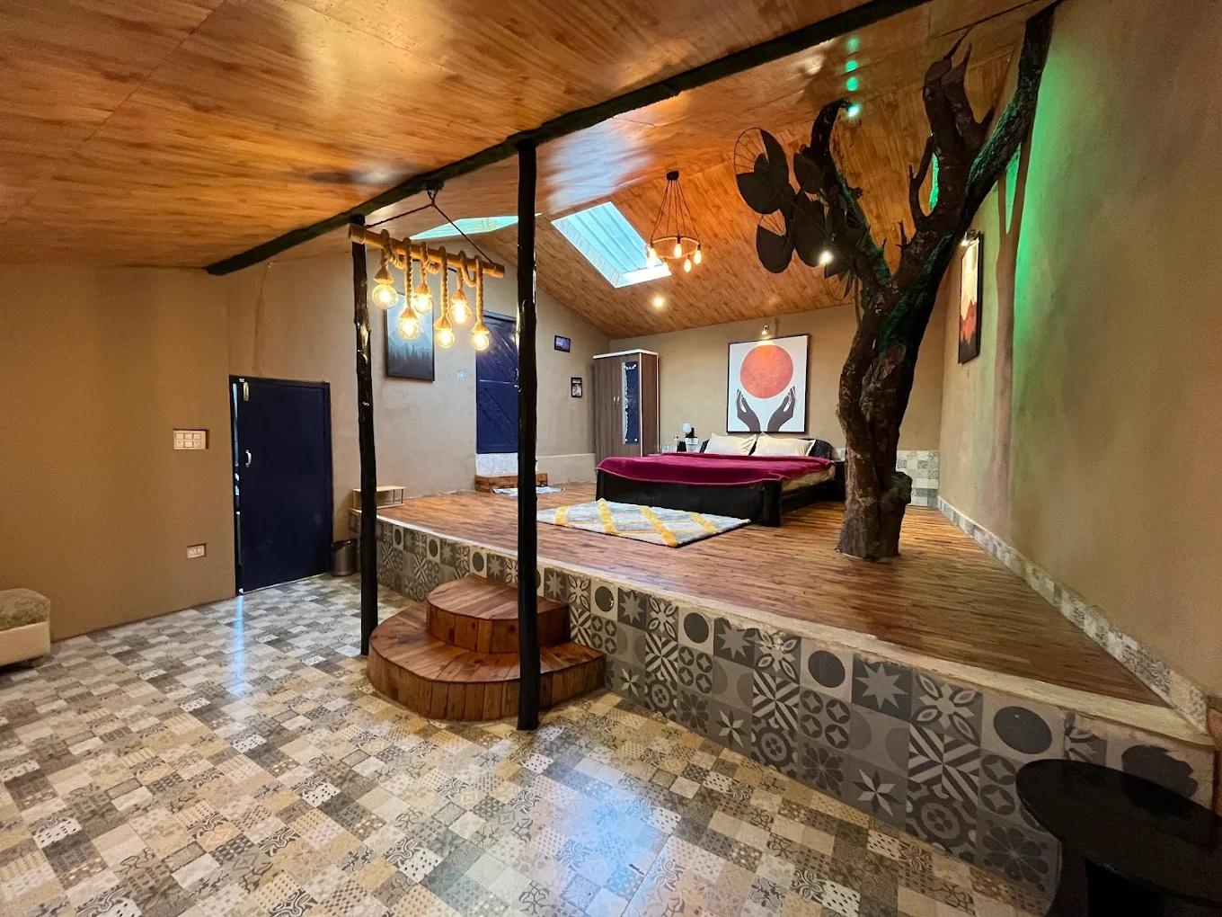 The hidden Burrow x Solis Nature