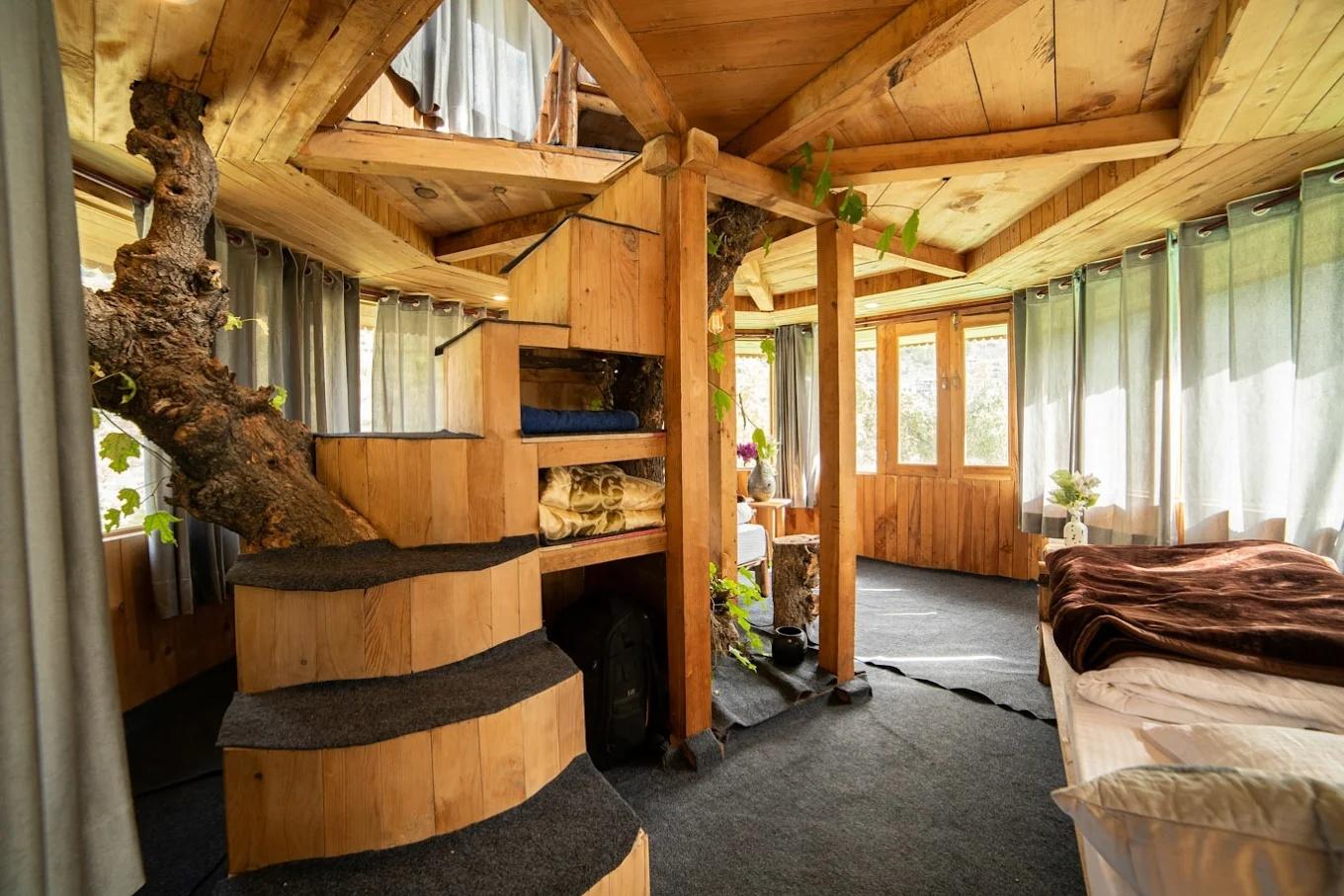 The hidden Burrow x Solis Nature