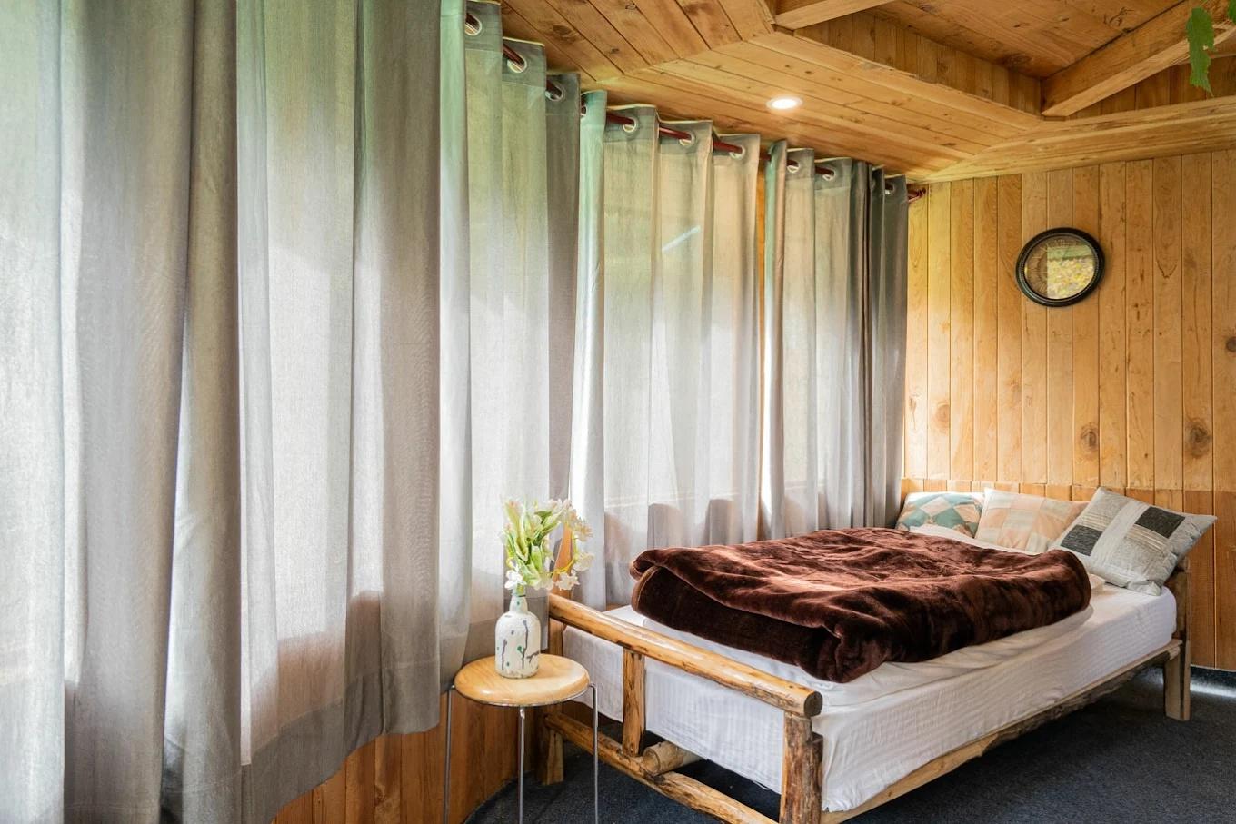 The hidden Burrow x Solis Nature