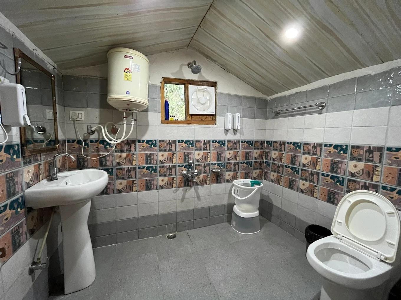 The hidden Burrow x Solis Nature