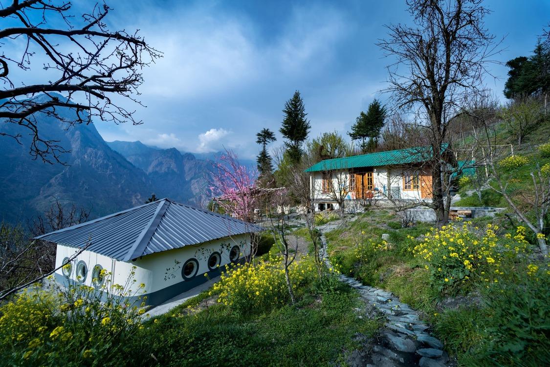 Desi Trails x Solis Nature