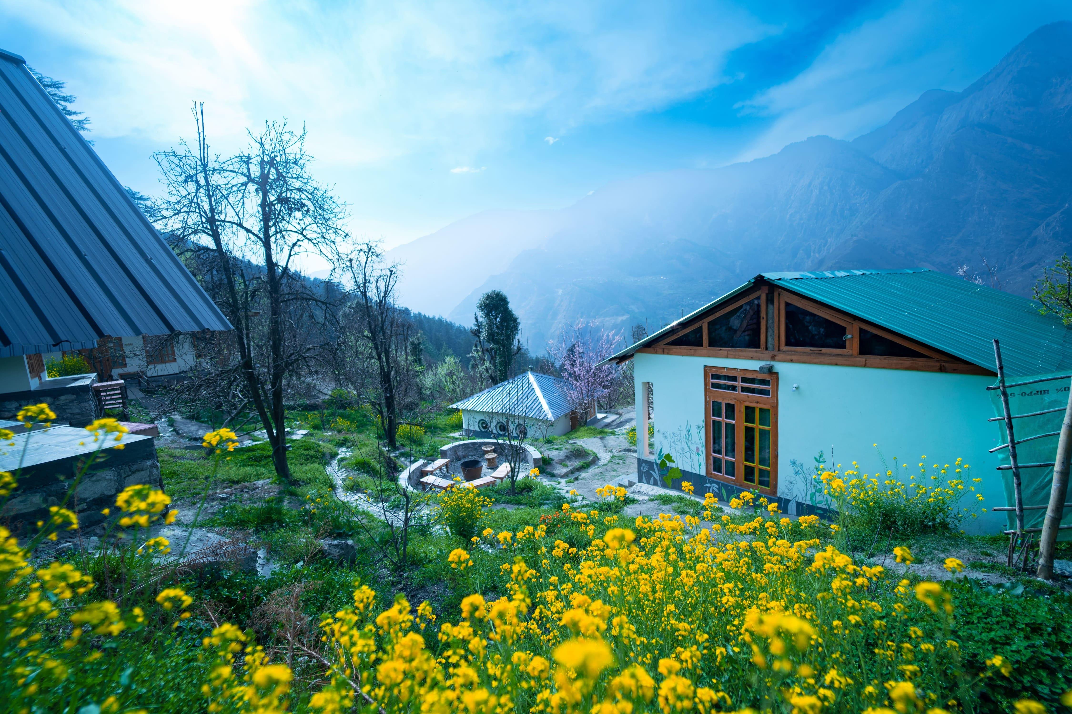 Desi Trails x Solis Nature