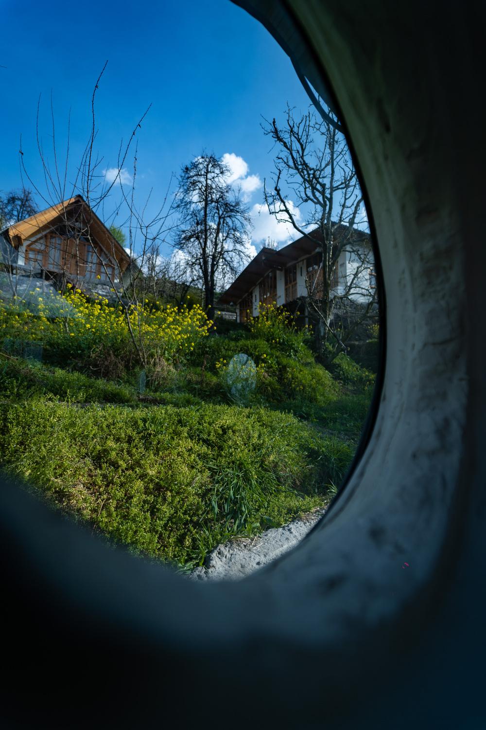 Desi Trails x Solis Nature