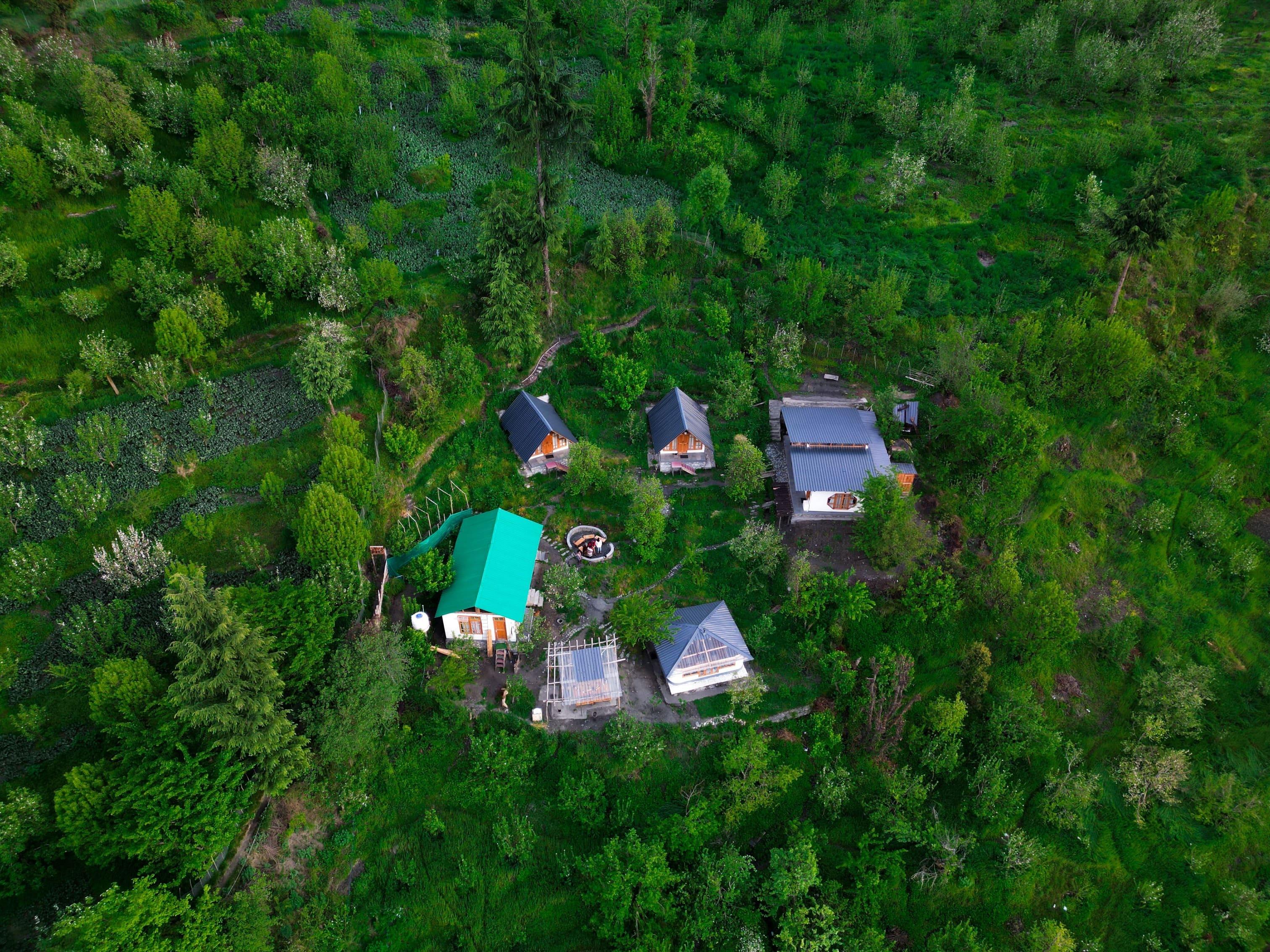 Desi Trails x Solis Nature