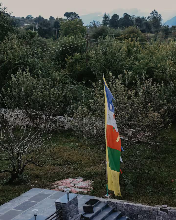 Kaizen Villa x Solis Nature