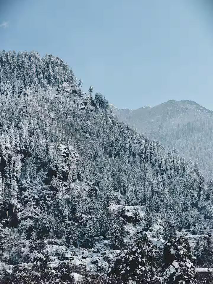 Kaizen Villa x Solis Nature