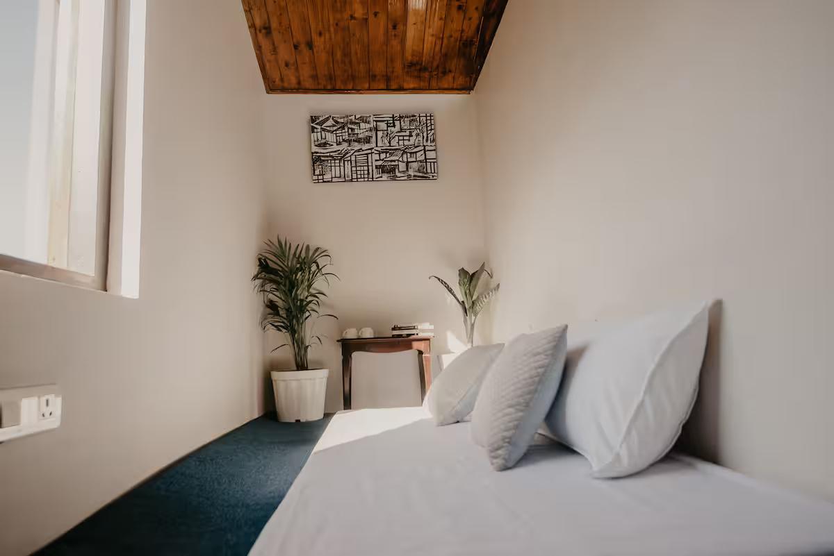 Kaizen Villa x Solis Nature