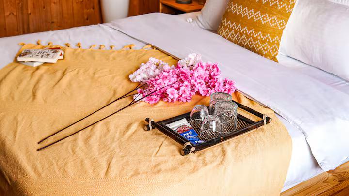 Karjan Villa x Solis Nature