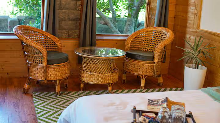 Plush Room with Orchard View x Solis Nature