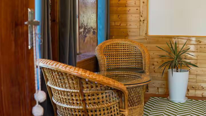 Plush Room with Orchard View x Solis Nature