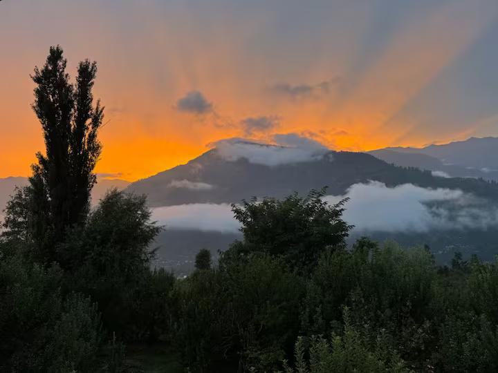 Bedroom in Middle of Apple Orchard x Solis Nature