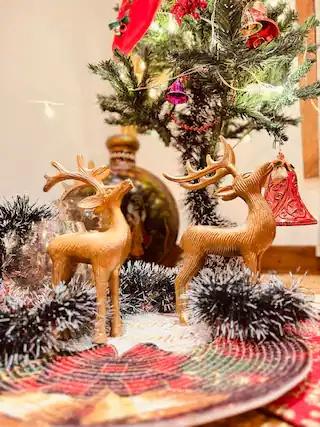 Bespoke 2-Room Combo in Luxury Villa x Solis Nature