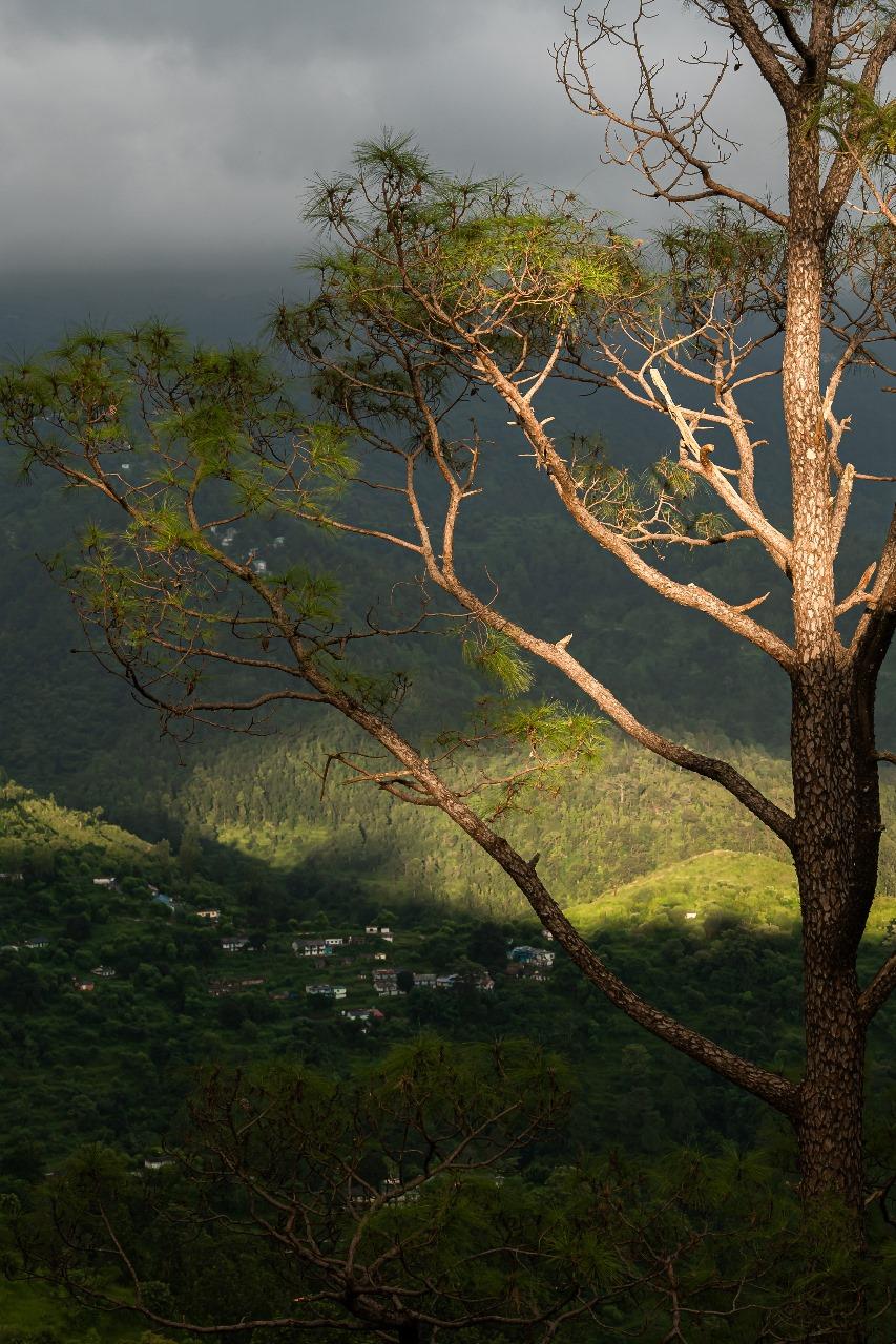 Glamp Echo Corbett, Geodesic Dome-Canopy x Solis Nature
