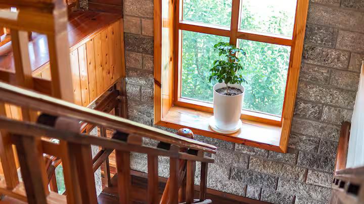 Secluded 3 Rooms in Luxe Villa x Solis Nature