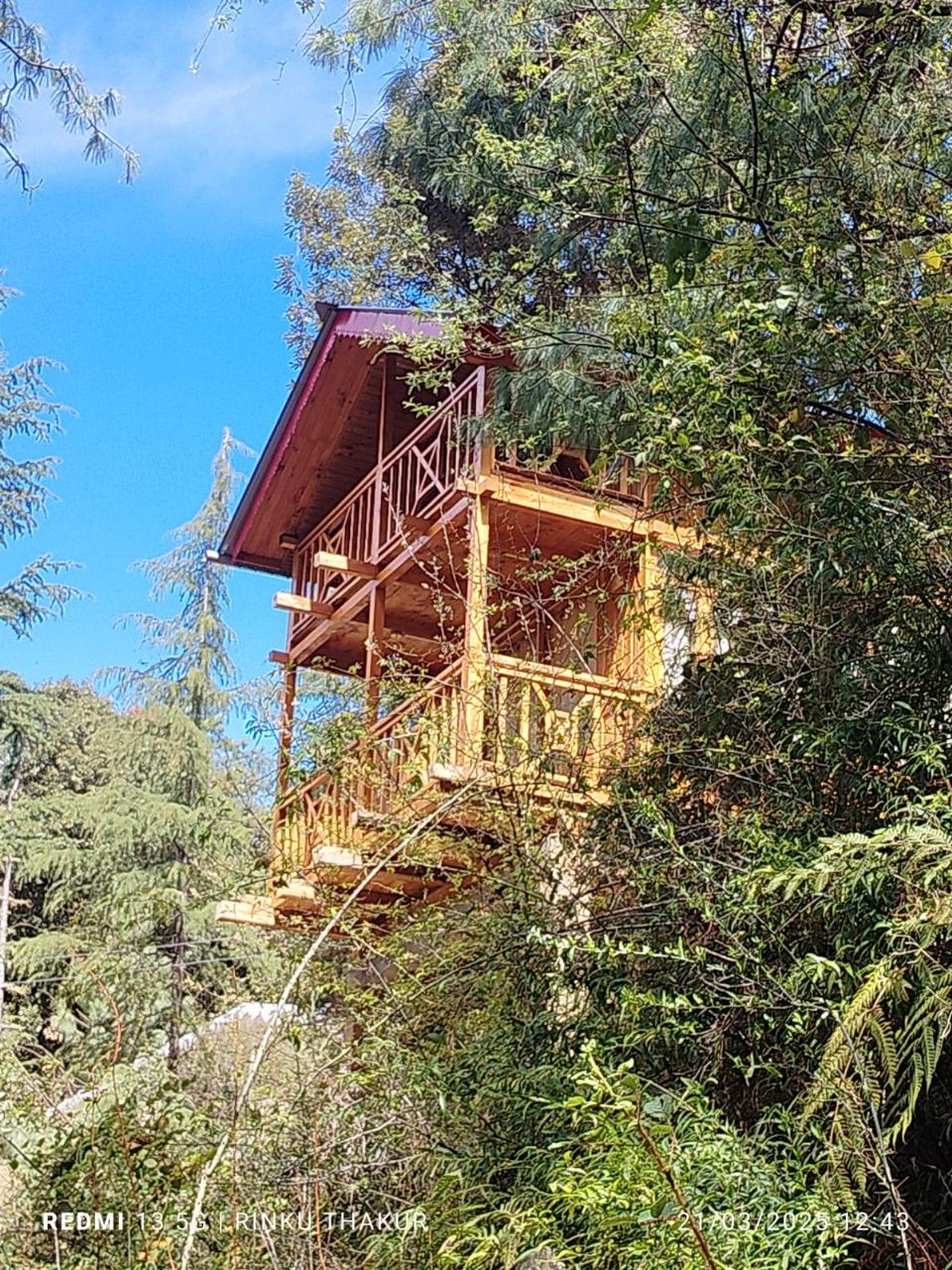The Isisinga tree house x Solis Nature