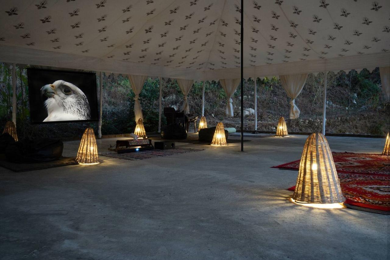 The Isisinga rooms x Solis Nature