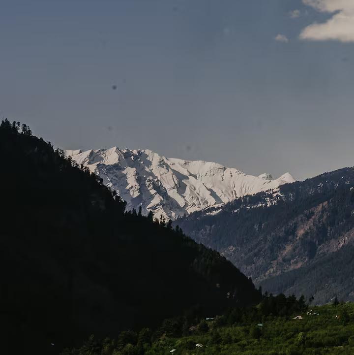 One of it’s kind 2-Room Combo x Solis Nature