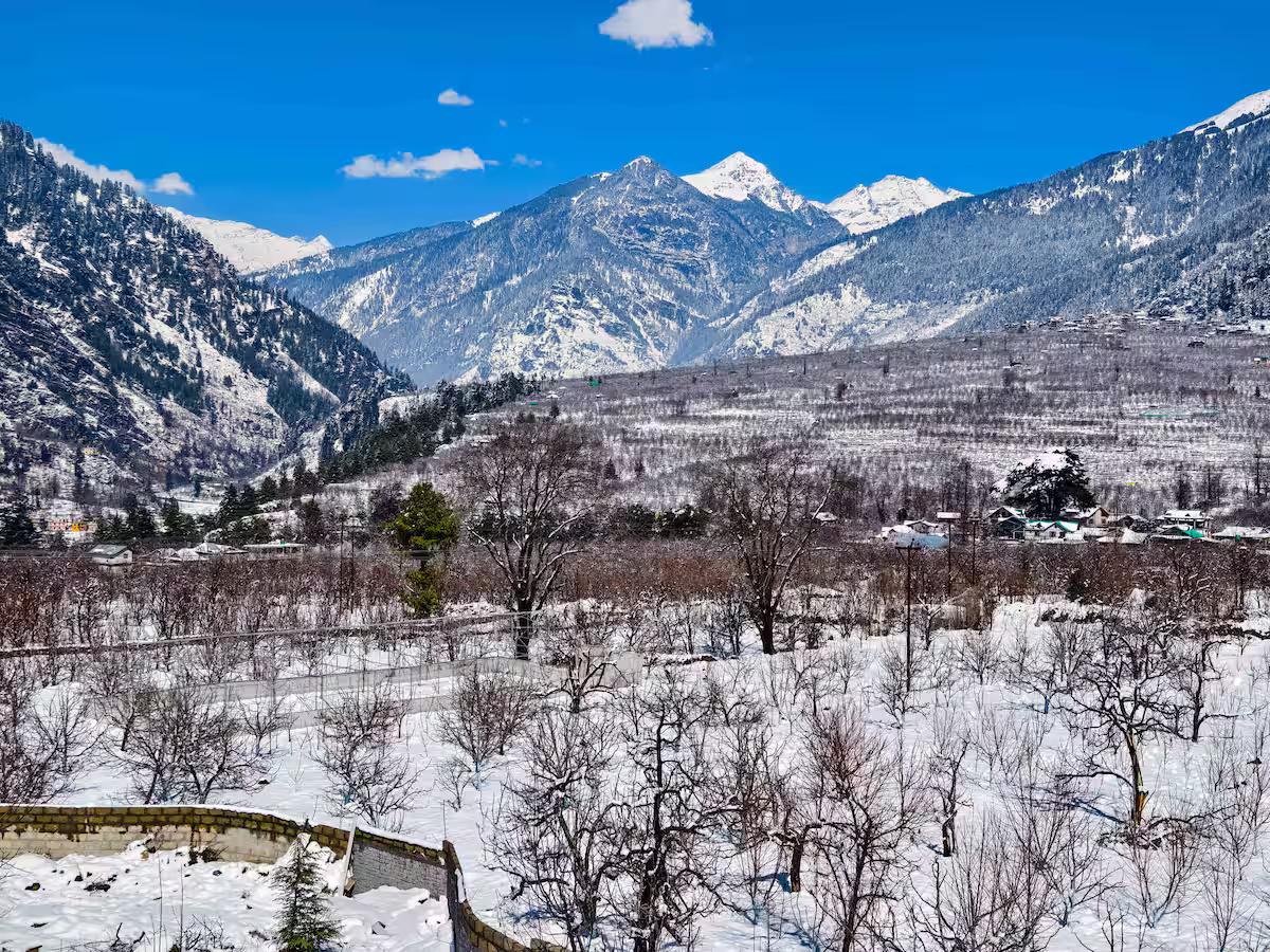 One of it’s kind 2-Room Combo x Solis Nature