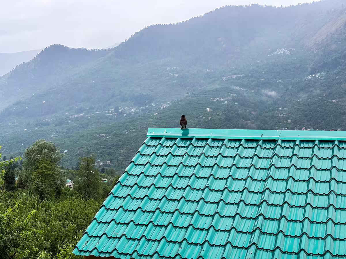 Signature Room with Panoramic Window x Solis Nature