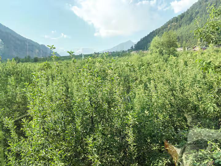 Signature Room with Panoramic Window x Solis Nature