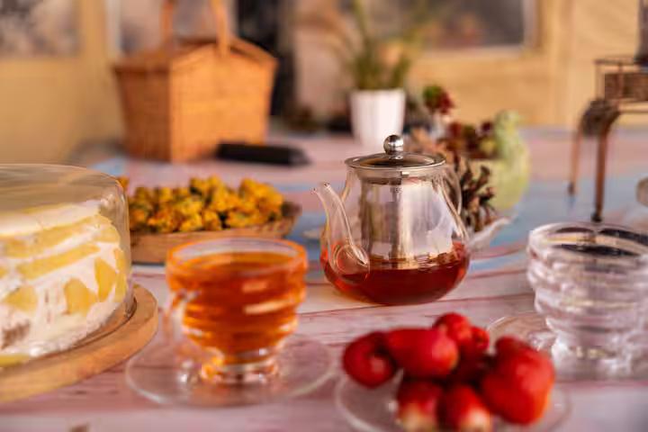 Posh MUDroom in an Art residency x Solis Nature