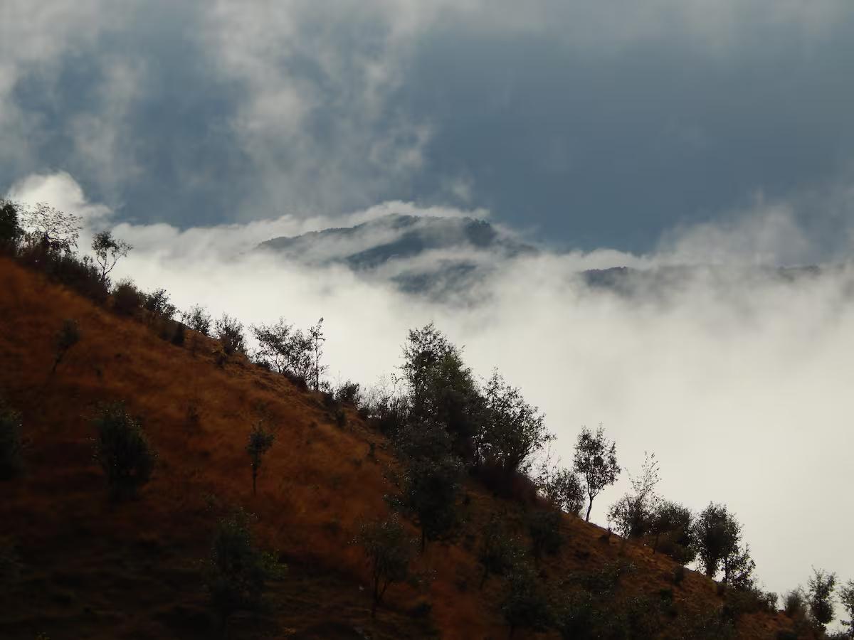Boutique Mudroom in an Architect's dream x Solis Nature