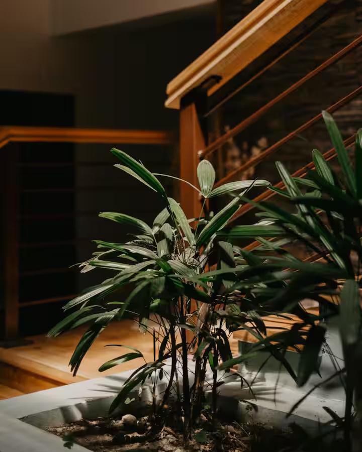 3 Luxurious Room in a Villa x Solis Nature