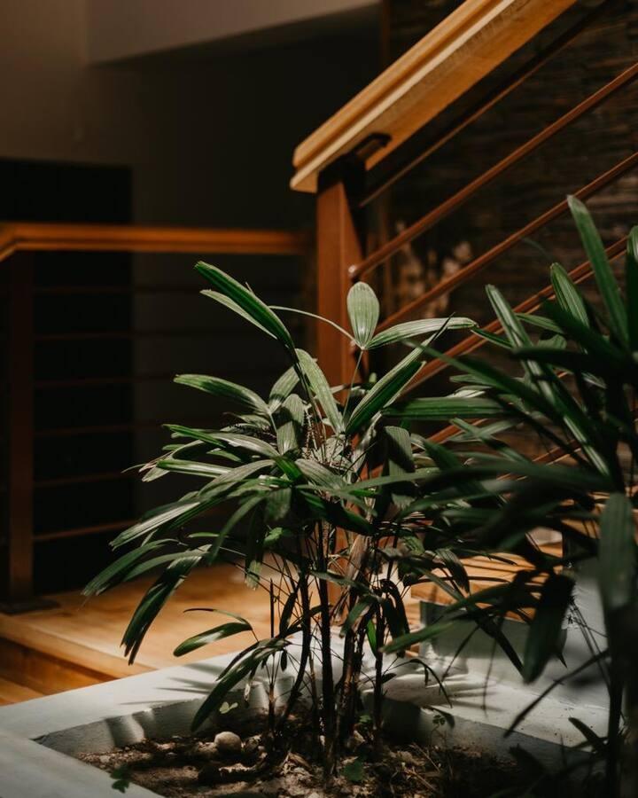 The most unique panoramic room in Manali x Solis Nature