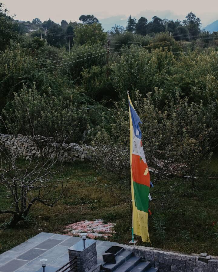 The most unique panoramic room in Manali x Solis Nature