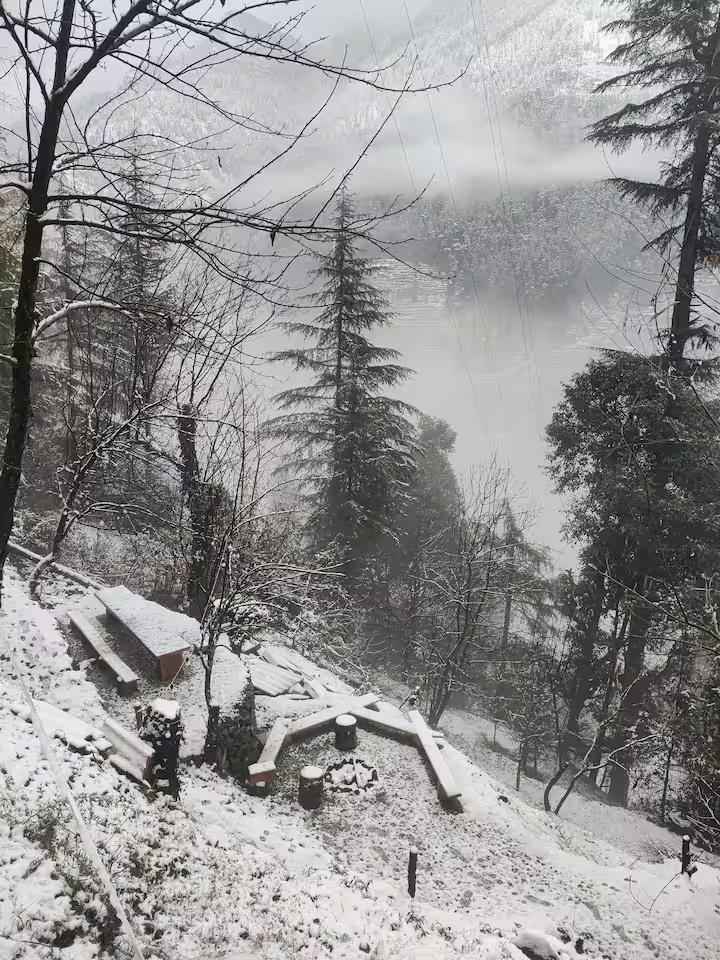 charming treehouse in Jibhi x Solis Nature