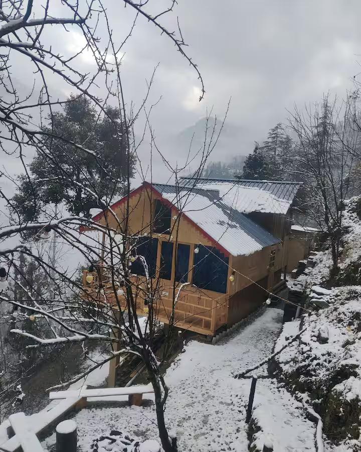 The Wooden Nest x Solis Nature