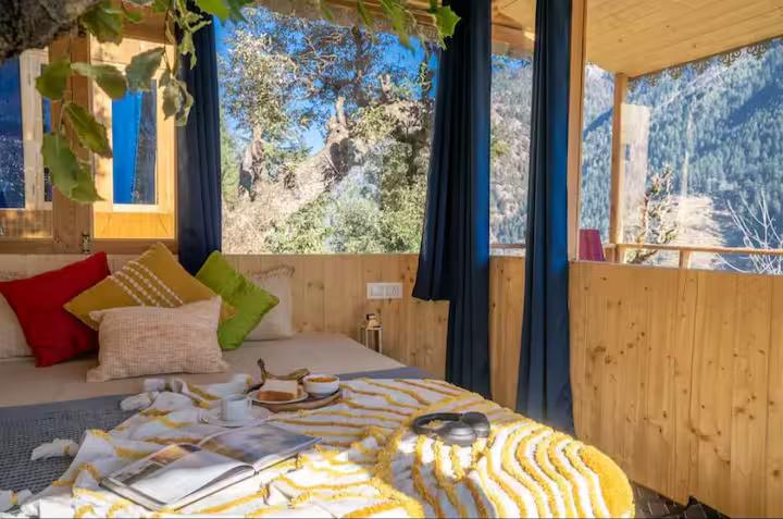 The Wooden Nest x Solis Nature